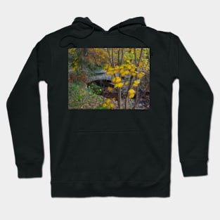 Serenity Hoodie